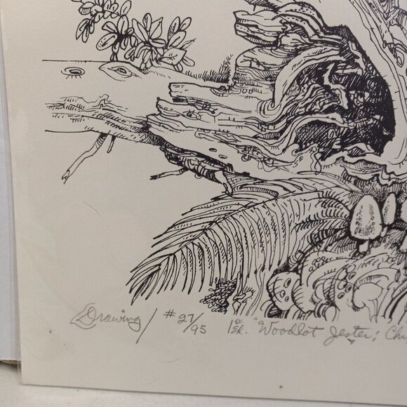 Paul Lee Drawing #27/95 1st ed. "Woodlot Jester: Chipmunk" 1975-85 - Picture 5 of 8